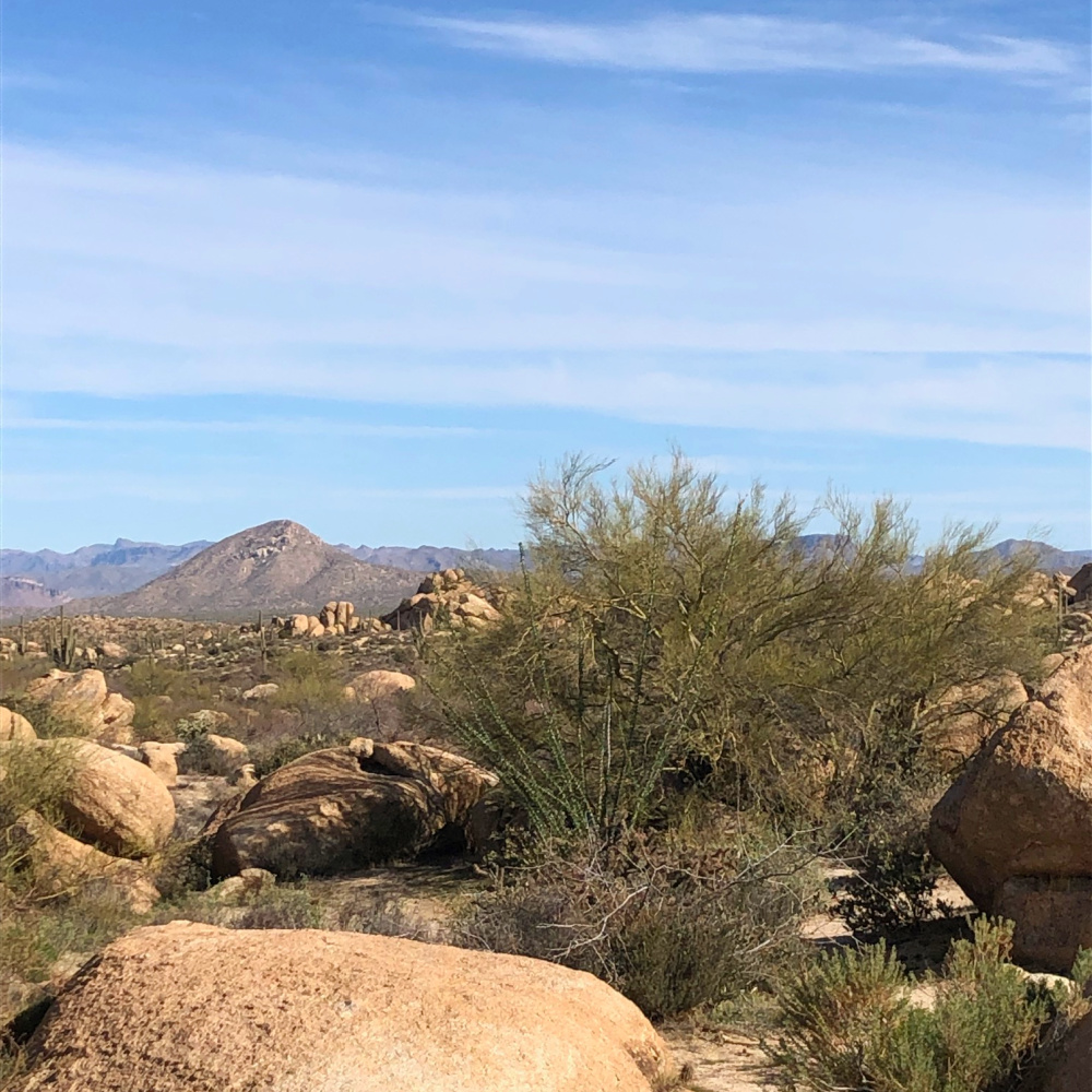 Arizona and Southwest landscape beauty with Saguaro cacti, mountains, and desert plants - Hello Lovely Studio.