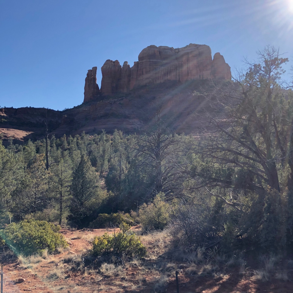 Cathedral Rock Park in Sedona, Arizona - Hello Lovely Studio.