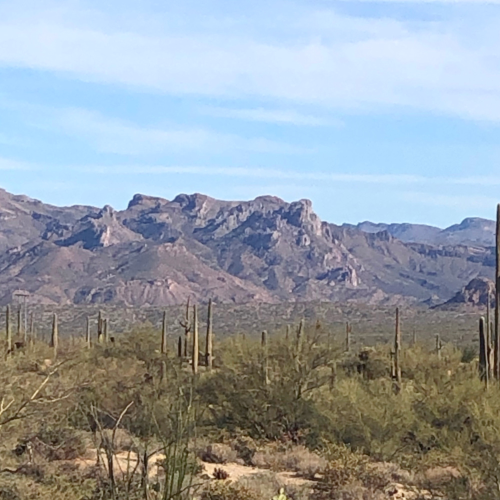 Arizona and Southwest landscape beauty with Saguaro cacti, mountains, and desert plants - Hello Lovely Studio.