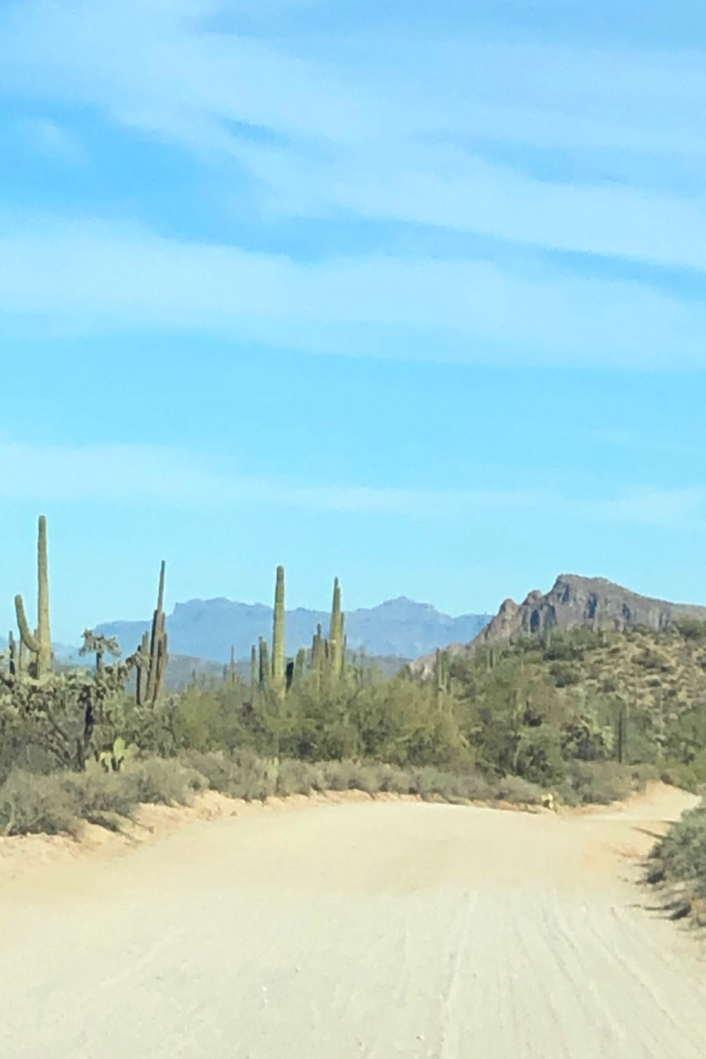 Arizona and Southwest landscape beauty with Saguaro cacti, mountains, and desert plants - Hello Lovely Studio.