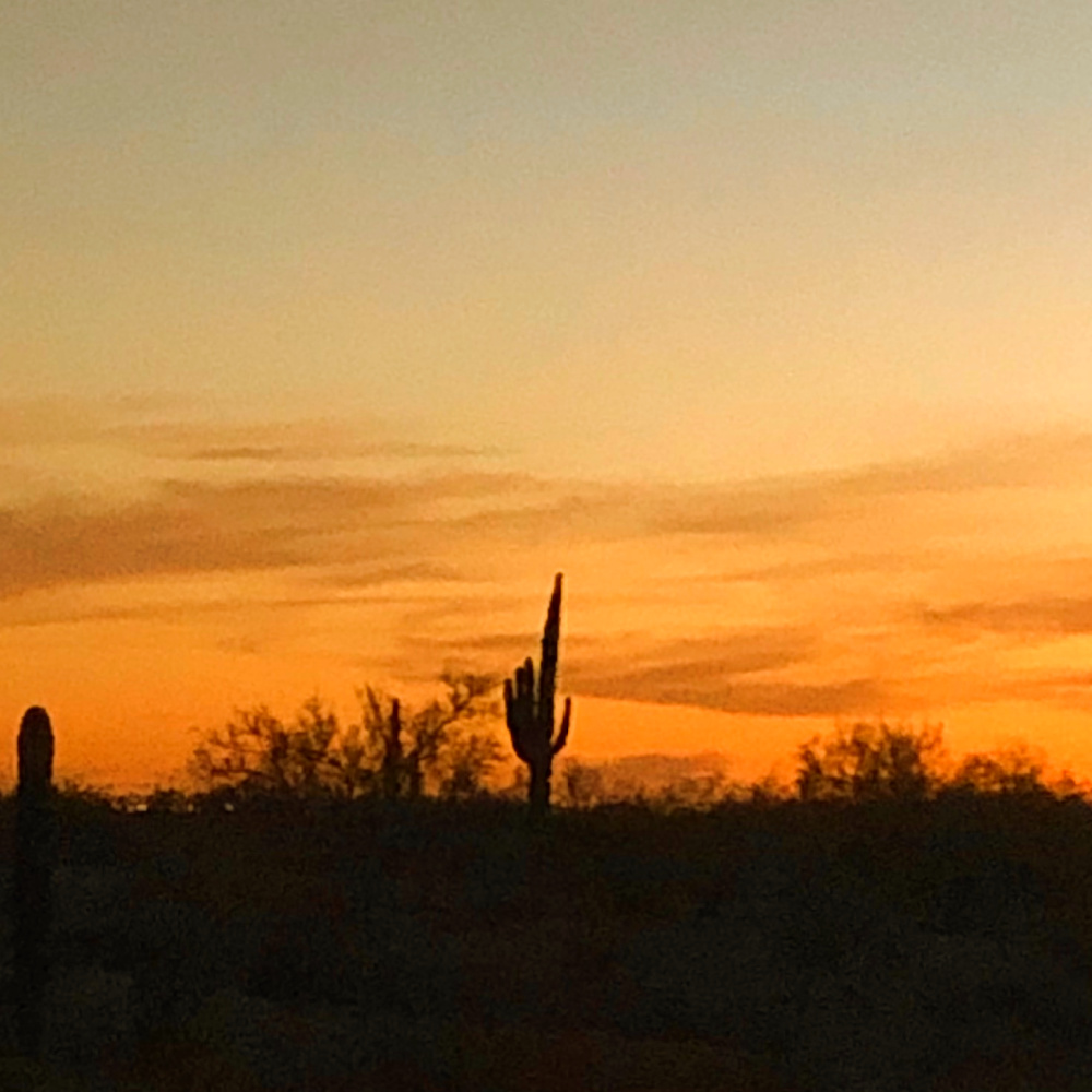 Arizona and Southwest landscape beauty with Saguaro cacti, mountains, and desert plants - Hello Lovely Studio.