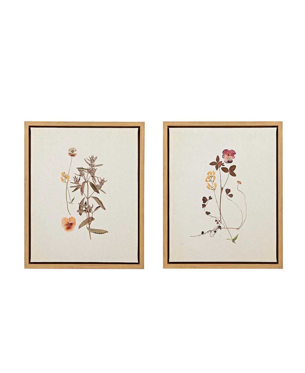 Linen French herbarium set of framed prints