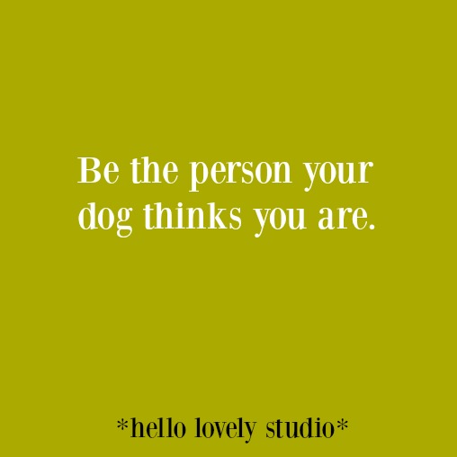 Funny quote and humor on Hello Lovely Studio. #funnyquote #humorquote #lifequote #quotes