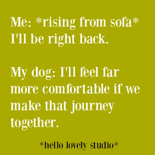 Funny quote and humor on Hello Lovely Studio. #funnyquote #humorquote #lifequote #quotes