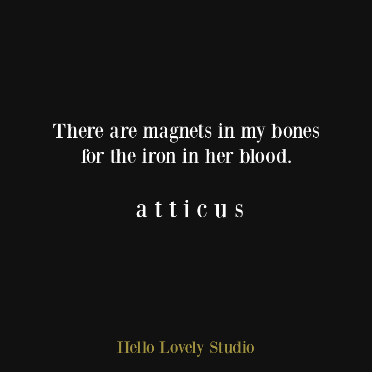 atticus poetry quote about love, life, and being alive and enough - on Hello Lovely Studio. #atticus #atticuspoetry #atticusquote #lovequote #relationshipquote