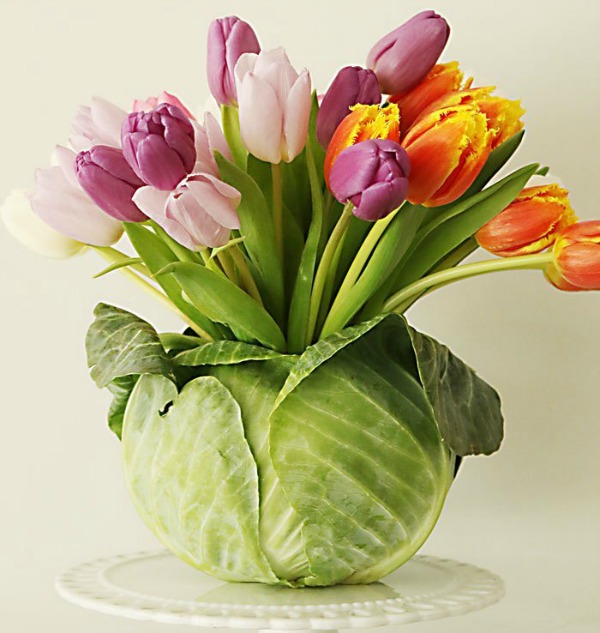 Darling cabbage turned vase with spring tulips for a tcolorful easy DIY able centerpiece by Darling Darleen. #springcenterpiece #tulipcenterpiece #springdiy #springcraft