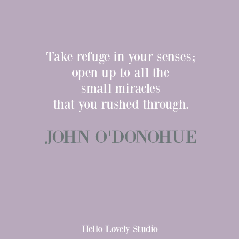 John O'Donohue inspirational quote about small miracles on Hello Lovely Studio. #miraclequotes #inspirationalquotes #johnodonohue
