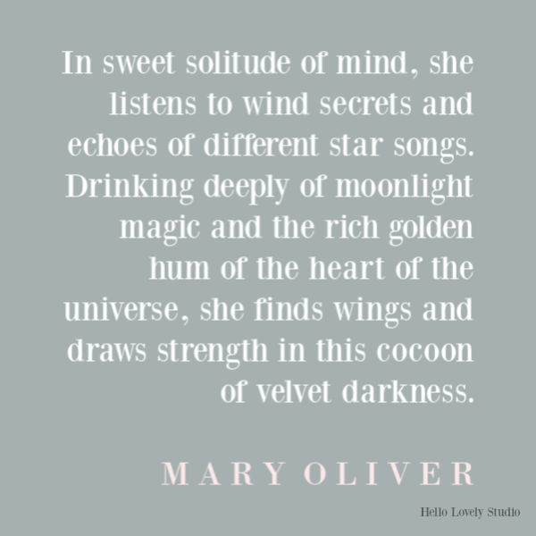 Mary Oliver poetry poem about connecting with nature and spring blissfully - Hello Lovely Studio. #maryoliver #poetry #poems #springpoem #nightpoem #naturepoem