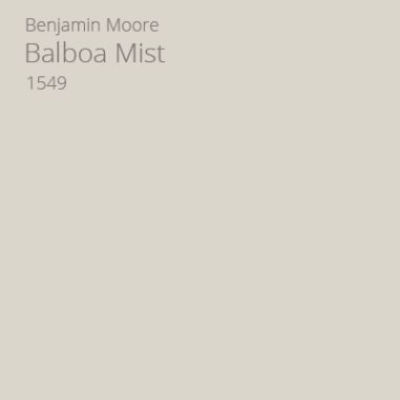 Benjamin Moore Balboa Mist paint color. #benjaminmoore #balboamist #paintcolors #neutralpaintcolors