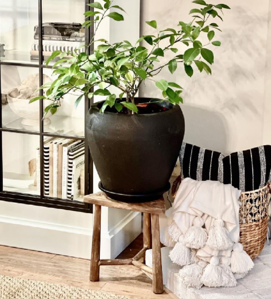 Black pot on a rustic stool with pom pom throw - @seasonalsolutions. #blackandwhite #boho