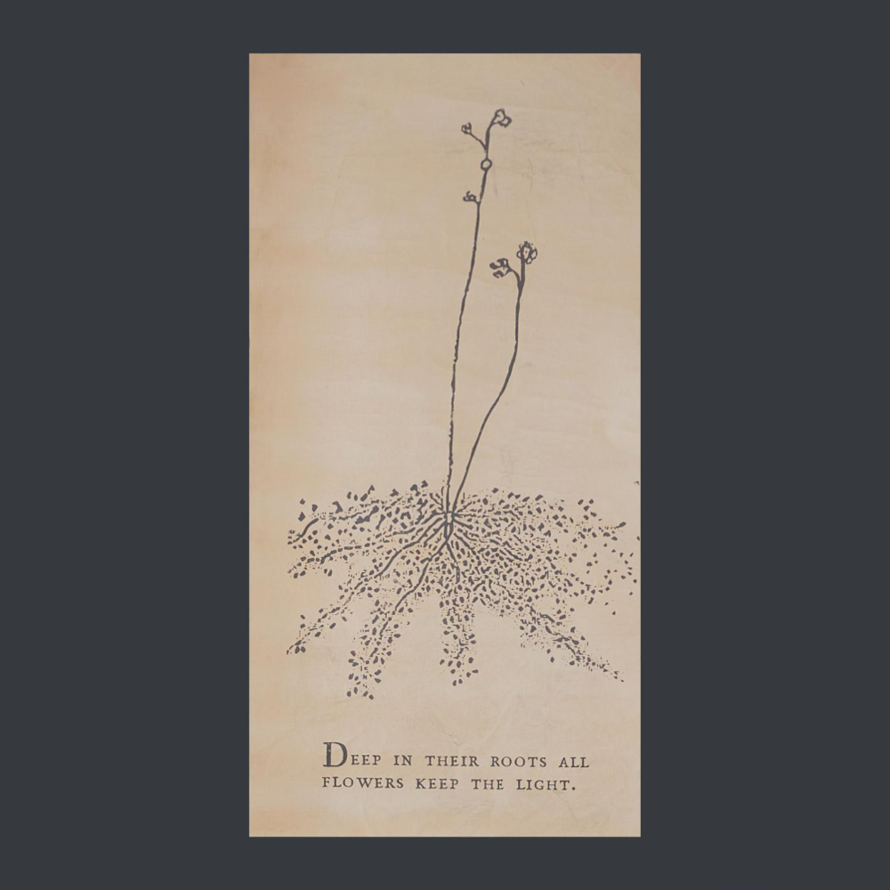 Botanical print with quote: deep in their roots all flowers keep the light - Sundance catalog.