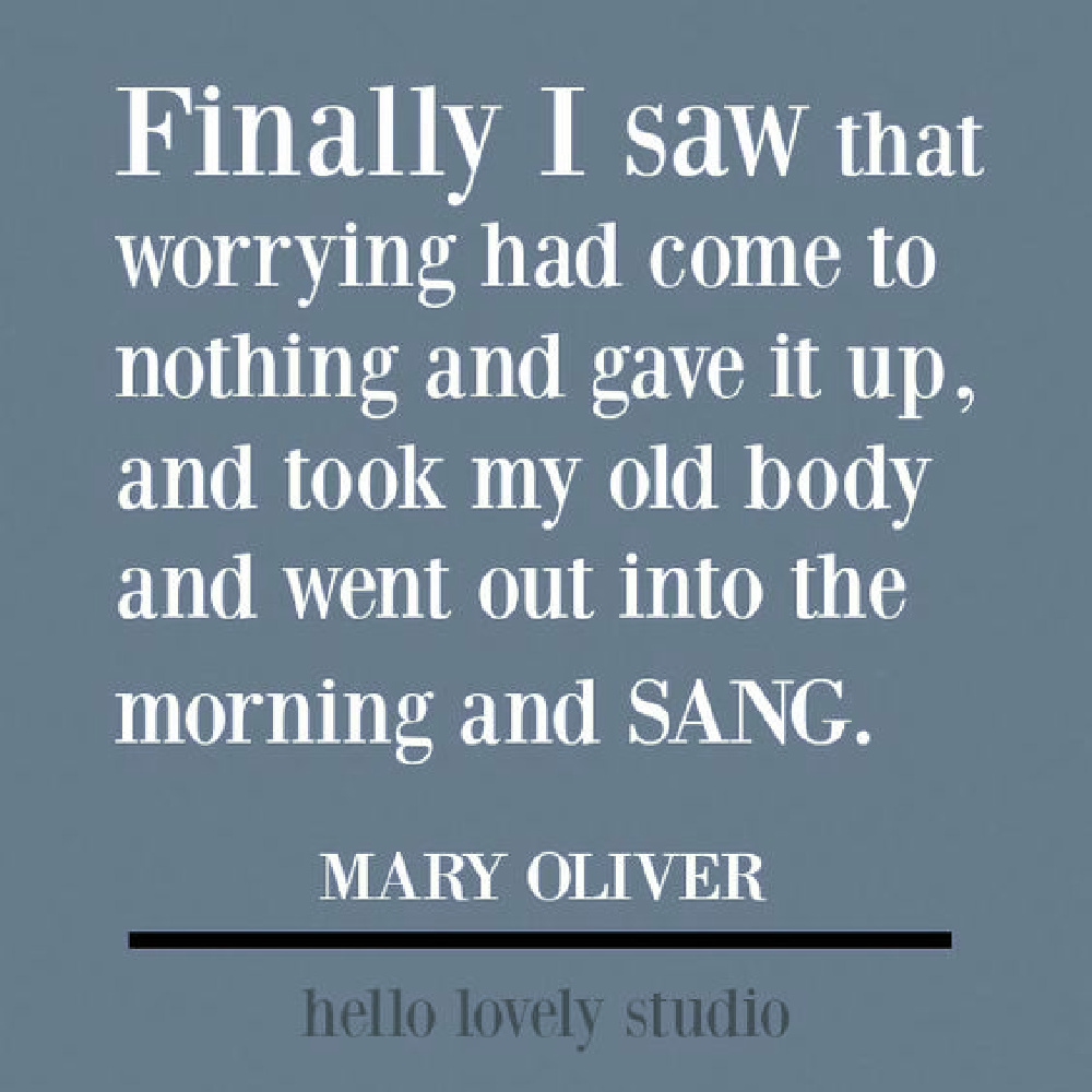 Mary Oliver quote on Hello Lovely Studio to encourage and uplift. #maryoliver #encouragementquote #naturequotes #poetry