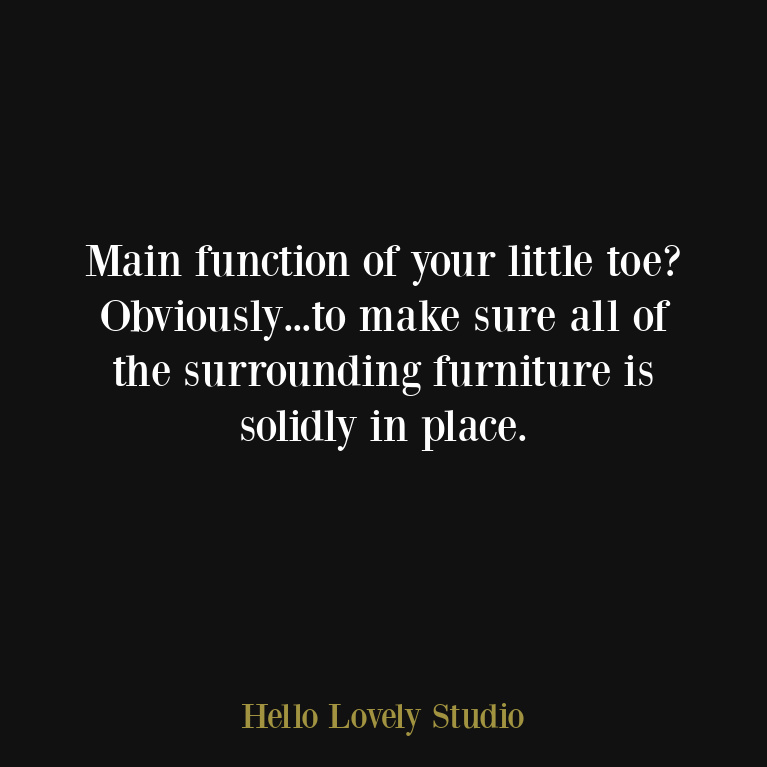 Funny humor quote about function of little toe - Hello Lovely Studio. #funnyquotes #humorquotes #lifequotes