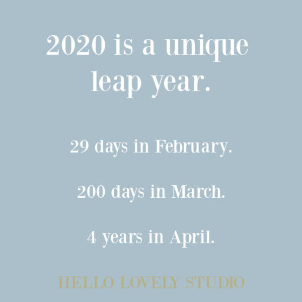 Funny quote and humor during pandemic 2020 on Hello Lovely Studio. #humorquotes #funnyquotes #pandemiclife #quotes