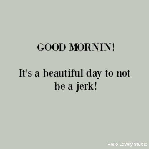 Funny humor quote on Hello Lovely Studio. #quotes #humor #funnyquote