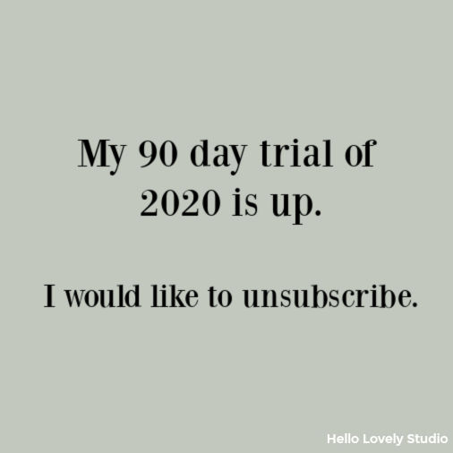 Funny quote about 2020 humor on Hello Lovely Studio. #funnyquote #humorquote #pandemic #quarantine