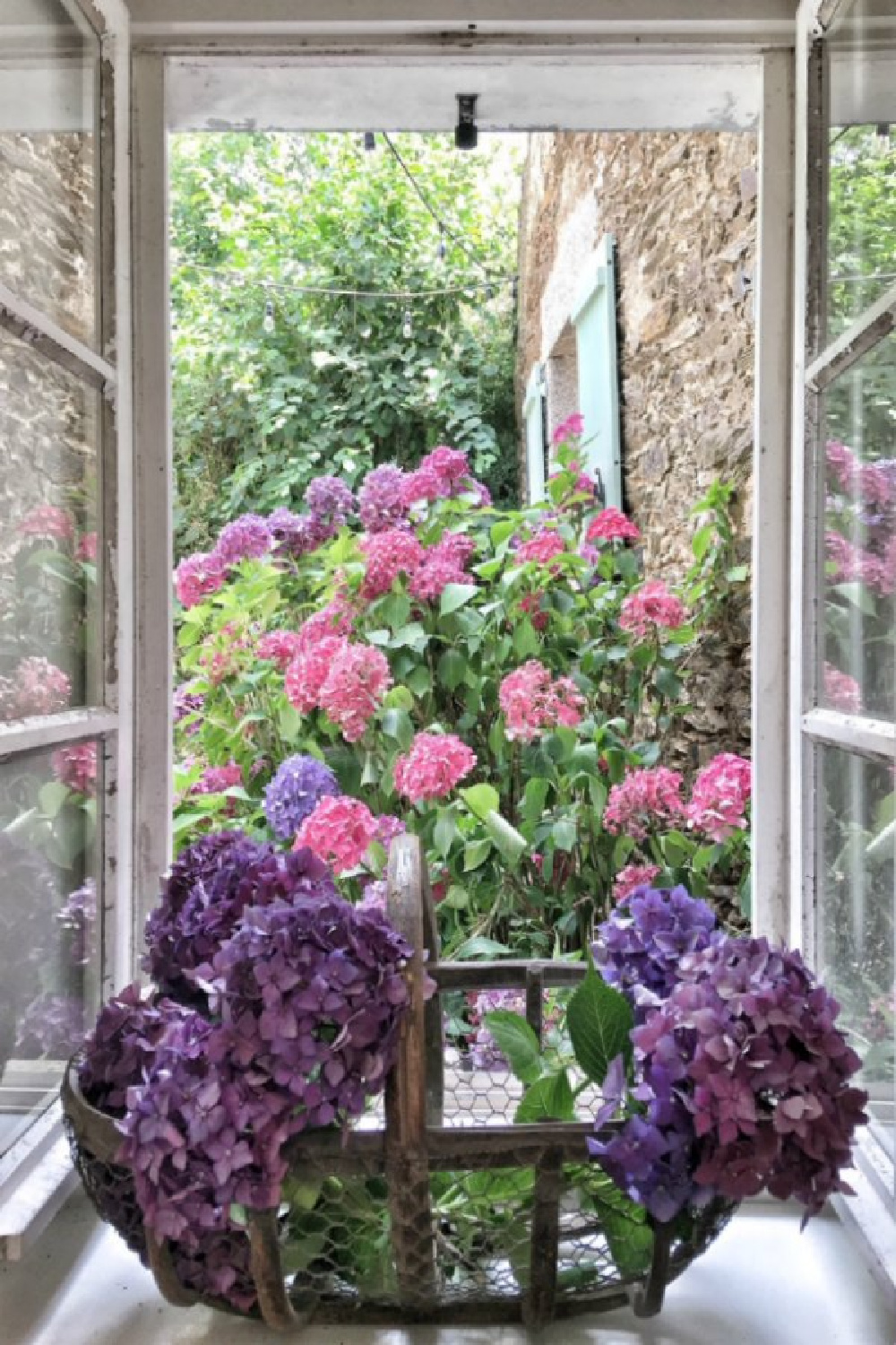 French oysterbasket filled with hydrangea in a charming kitchen window.French farmhouse design inspiration with an interview with Vivi et Margot. Come be inspired on Hello Lovely and learn the paint colors used in these beautiful authentic French country interiors. #oysterbasket #frenchkitchen #frenchfarmhouse #frenchcountry #vivietmargot #rusticdecor #frenchhome #authentic #frenchmarket #summerliving #europeanfarmhouse