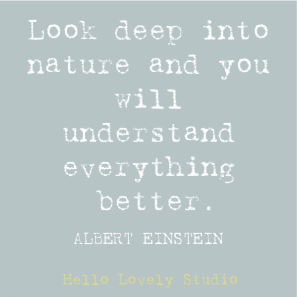 Hippie quote to inspire, disarm, uplift, and stir your heart on Hello Lovely Studio. This post features Airstream decor at Pottery Barn while it also offers glimpses of dreamily hitting the open road. #hippiequote #inspirationalquote #quotes #einstein