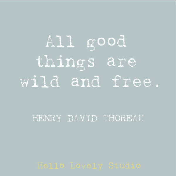 Inspirational quote from Henry David Thoreau: all good things are wild and free. #naturequote #quotes #inspirationalquote #thoreau