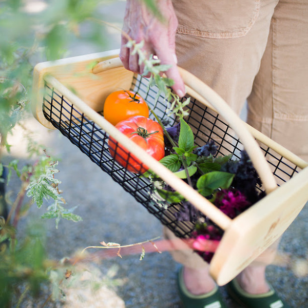 Maple Garden Carry All - Terrain. #farmersmarket #gardentrugs
