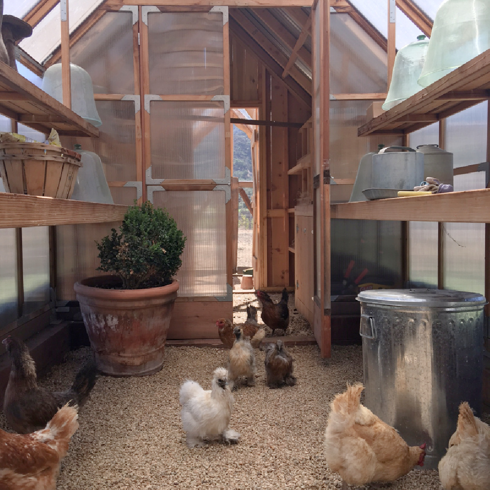 Patina Farm: Chicken Coop - Brooke Giannetti. #patinafarm #chickencoop #giannettihome