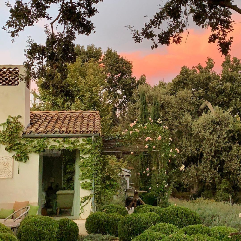 Patina Farm garden at sunset with boxwood, climbing roses, and European country style. Brooke Giannetti. #ojaicalifornia #patinafarm #giannettihome #frenchfarmhouse #frenchgarden #rosegarden #landscapedesign #boxwood