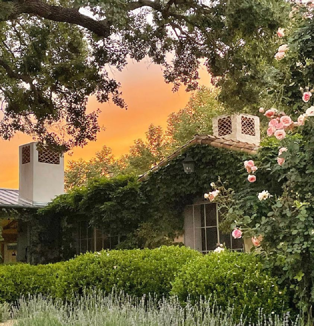 Patina Farm French farmhouse and gardens at sunset - photo by @leilag15.