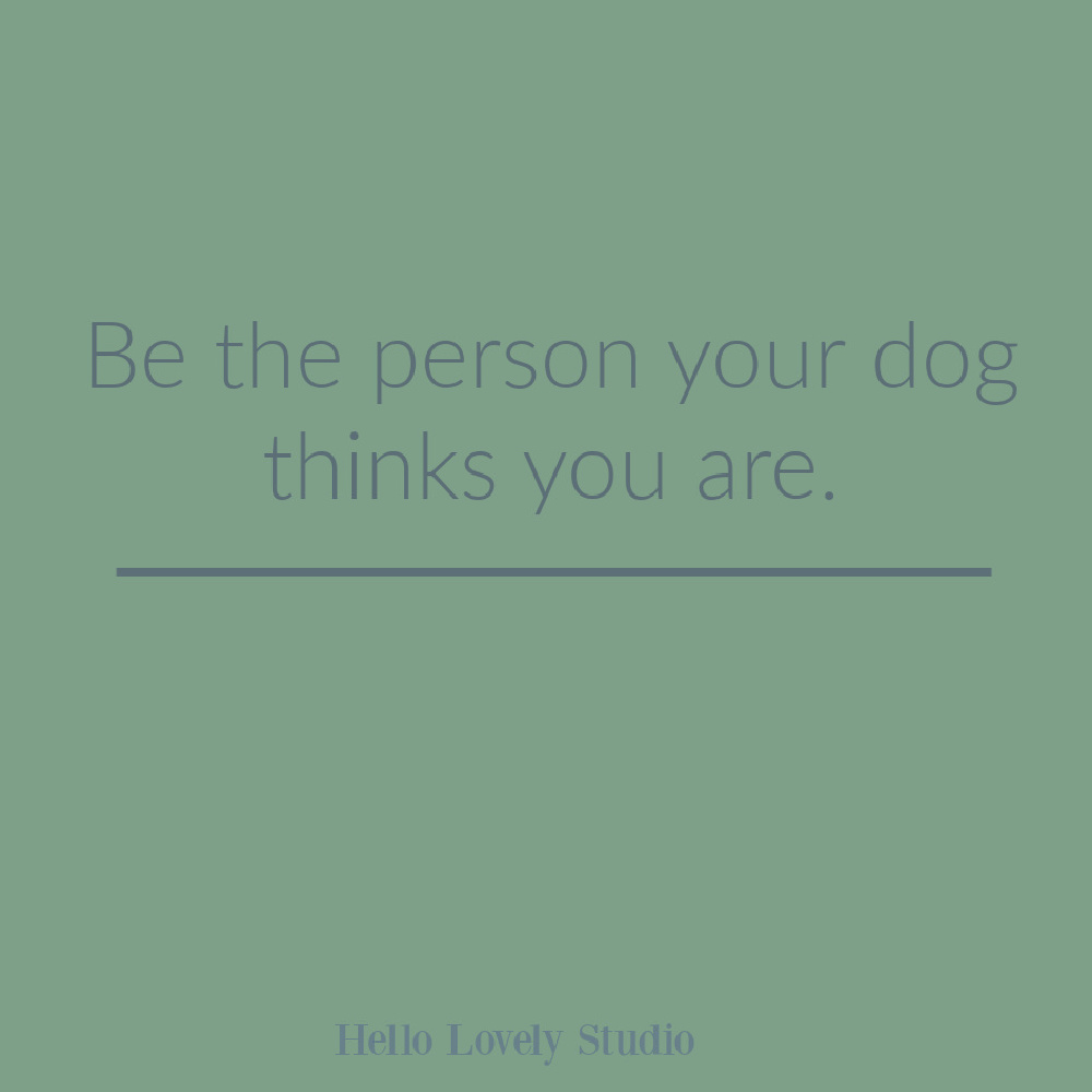 Dog quote on Hello Lovely Studio. #dogquotes #whimsicalquotes