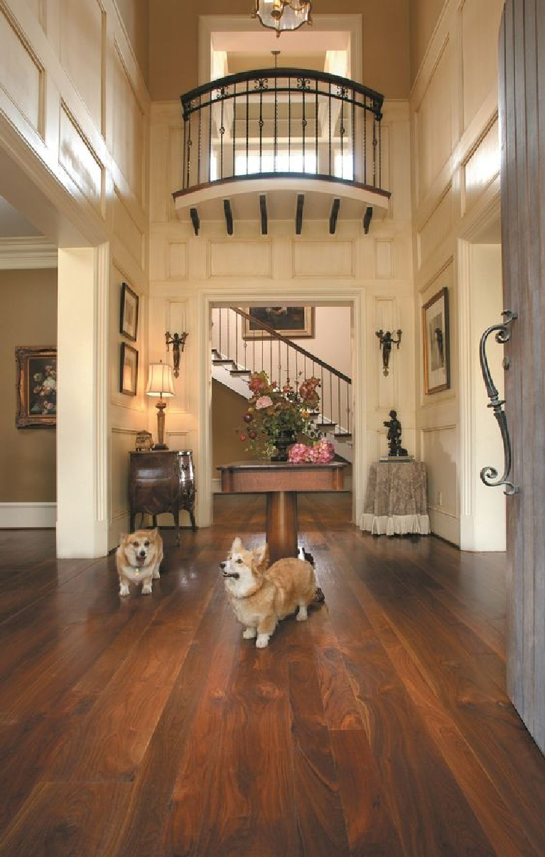 Happy corgis stand on chocolate walnut floors in a traditional entry of a grand home - Carlisle Wide Plank Flooring. #flooring #walnut #darkbrownfloors #hardwoodfloor #carlisle #wideplankfloors