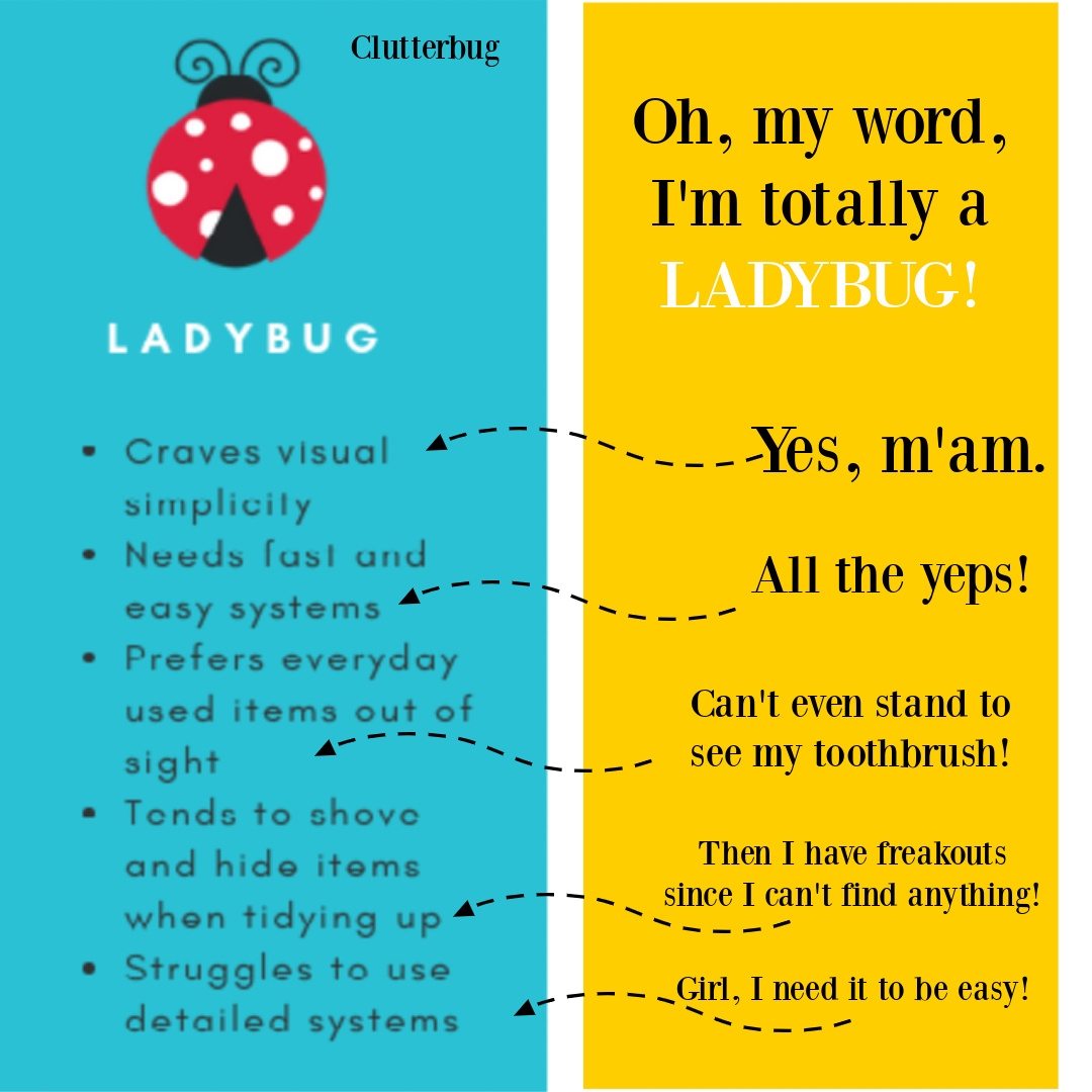 Read my interview with Cas! Clutterbug type: LADYBUG explains my organizational style in Cassandra Aarsen's book THE CLUTTER CONNECTION. #casaarsen #hotmesshouse #theclutterconnection
