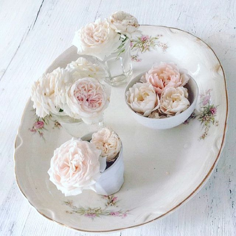 Pink garden roses upon a vintage floral china platter and white farm table - My Petite Maison.