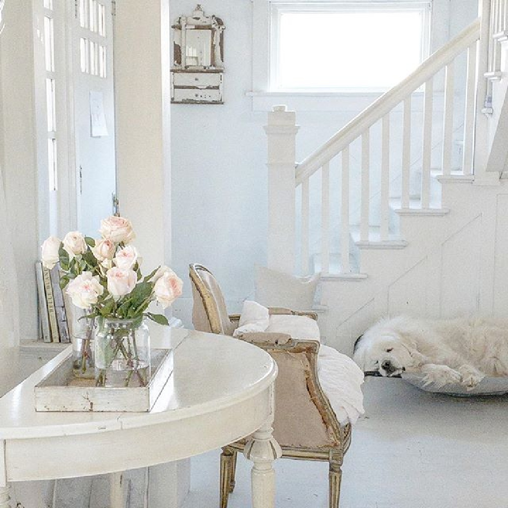 All white interiors, antique demilune table, and white painted hardwood flooring in a cottage (with Great White Pyrenees dozing!) by My Petite Maison.