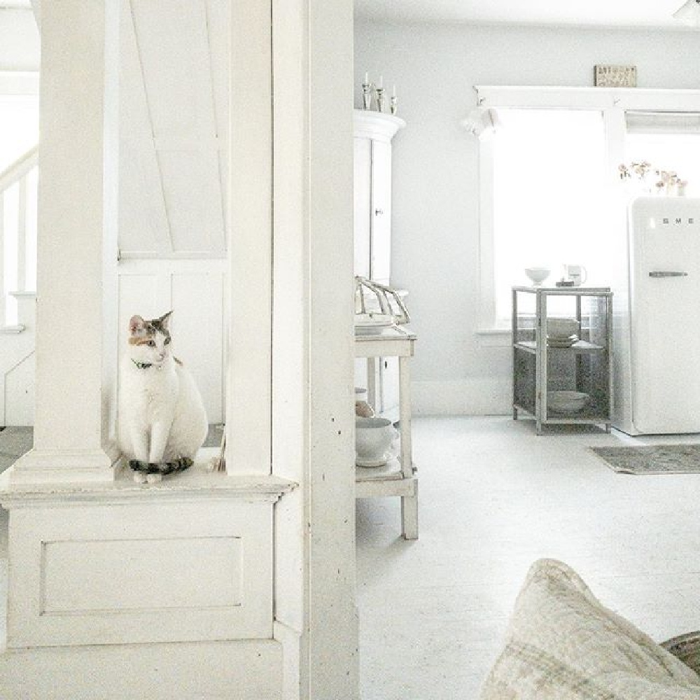 Sweet kitty perched in a Scandi style all white cottage by My Petite Maison.