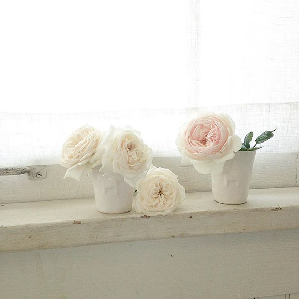 Blush pink garden roses on a weathered white window sill - My Petite Maison.