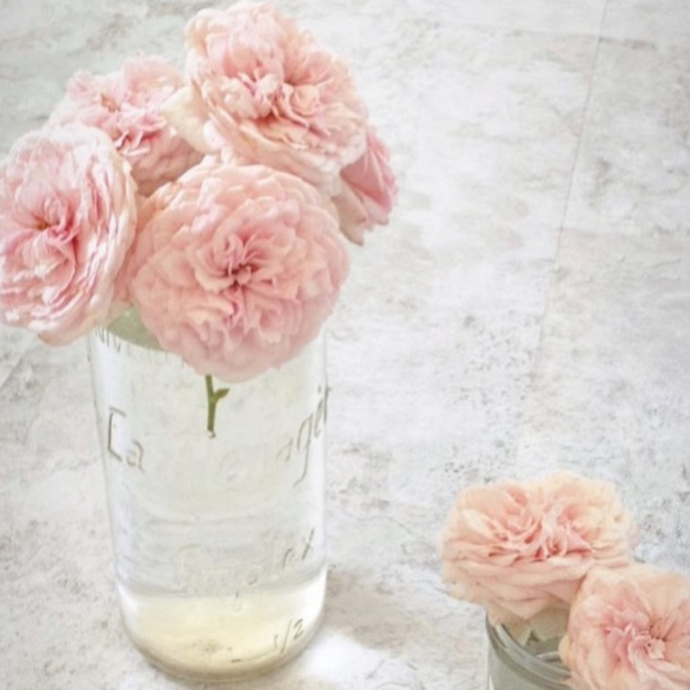 Pink garden roses in a vintage French canning jar in a French Nordic vignette by @mypetitemaison.