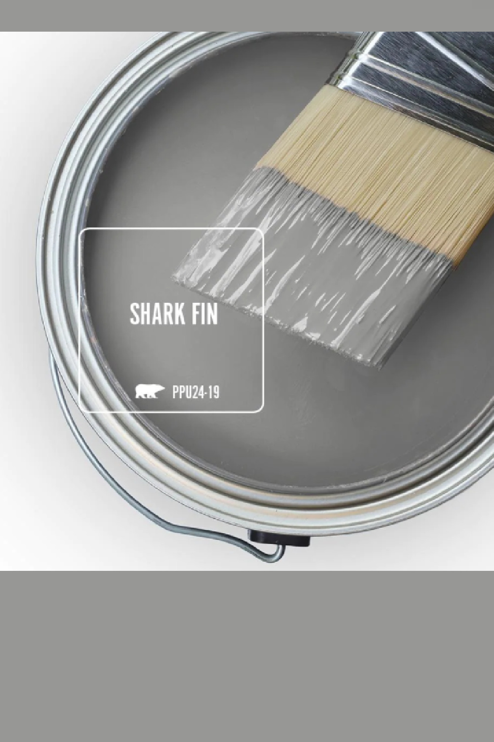 Shark Fin (Behr) gray paint color swatch. #sharkfin #paintcolors #behrsharkfin #graypaintcolor