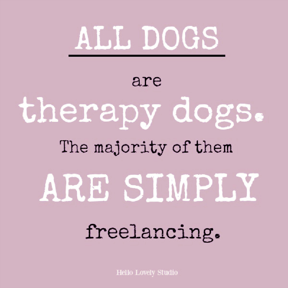 Whimsical dog quote on Hello Lovely. #dogquotes #petquotes #doglovers