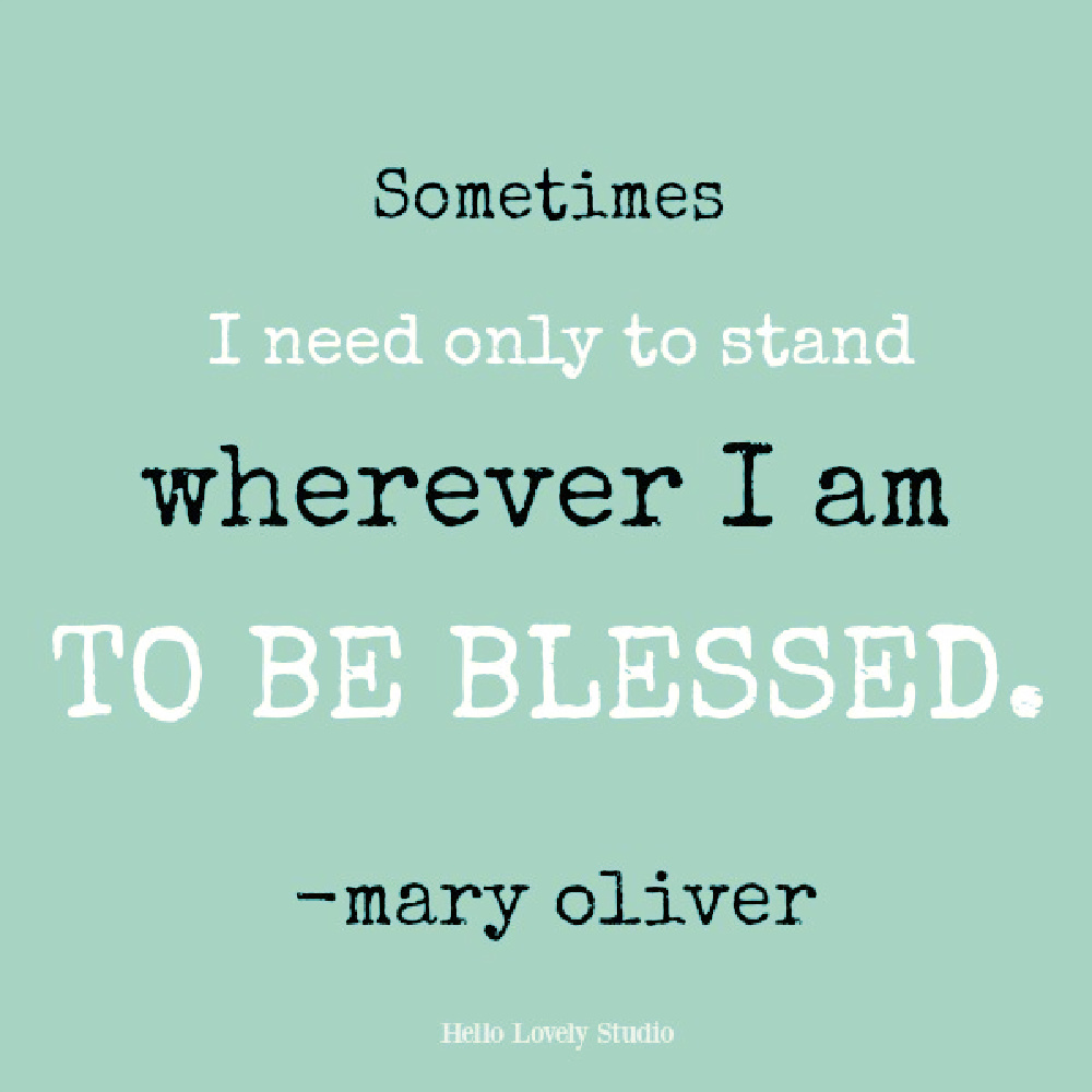 Mary Oliver quote on Hello Lovely. #maryoliver #inspirationalquote #blessingquote #naturequotes