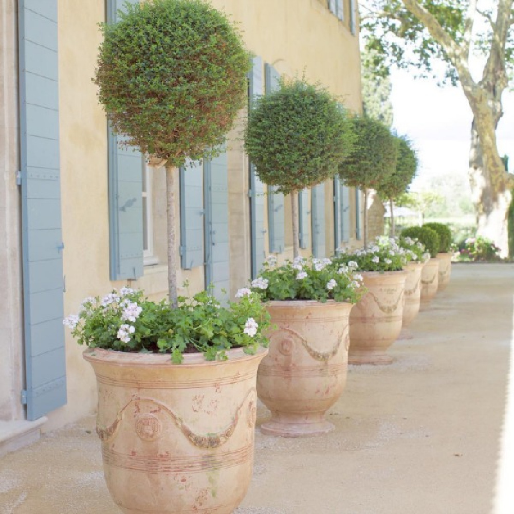 Le Mas Des Poiriers house exterior with potted topiaries and blue shutters.