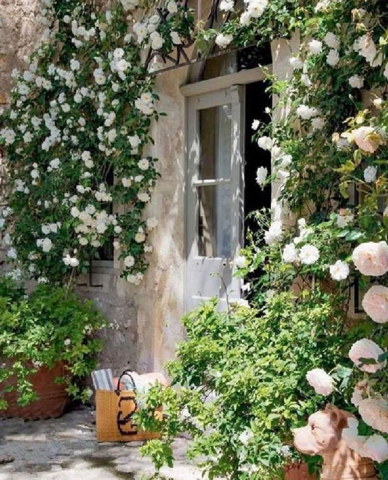 Pale pink roses climbing a stone wall of a home in Provence. #frenchfarmhouse #roses #gardeninspiration