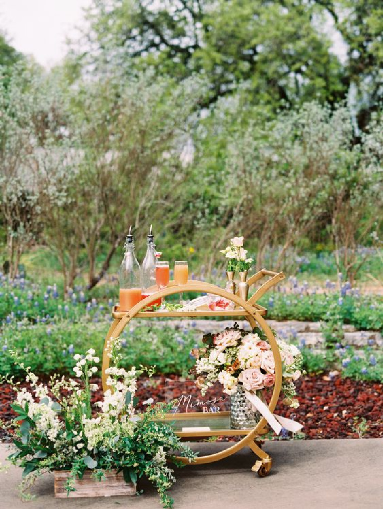 This Franklin bar cart from Birch and Brass holds mimosa ingredients and gorgeous French country style flowers. #barcarts #frenchcountry #entertaining #outdoordining 