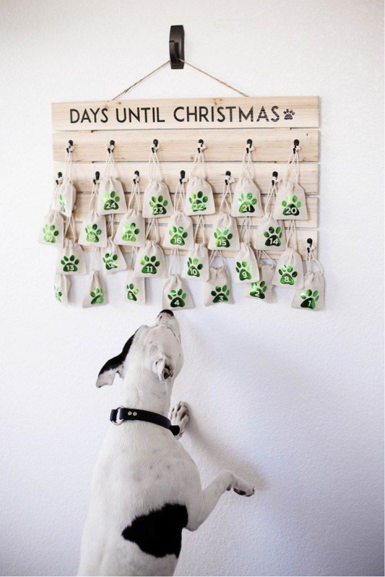 Darling pup friendly advent calendar holiday decor idea from All the Memories. #christmasdecor #christmasdiy #pets #christmasdogs #adventcalendars #christmascountdown