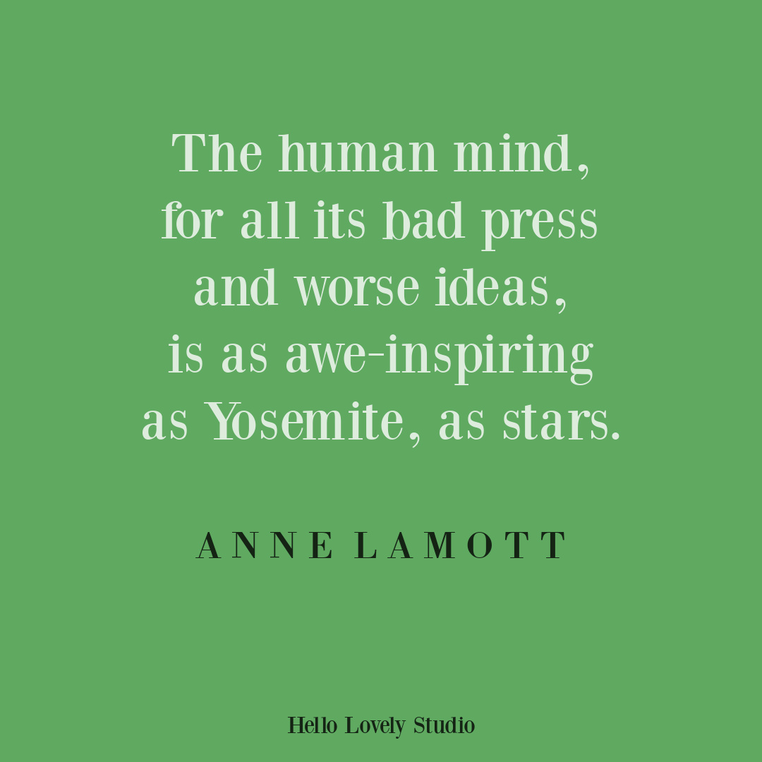 Anne Lamott quote about the human mind on Hello Lovely. #annelamottquotes #mindquotes #creativityquotes