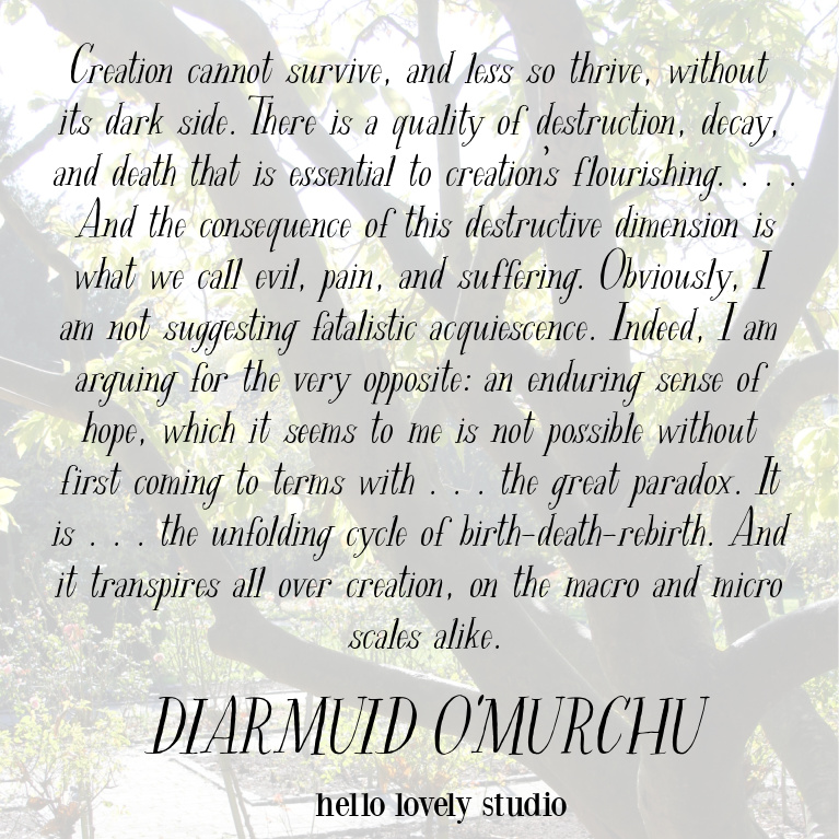 Inspirational quote from Diarmuid Omurchu on paradox - Hello Lovely Studio. #inspirationalquotes #faithquotes #pandemic #spiritualityquotes