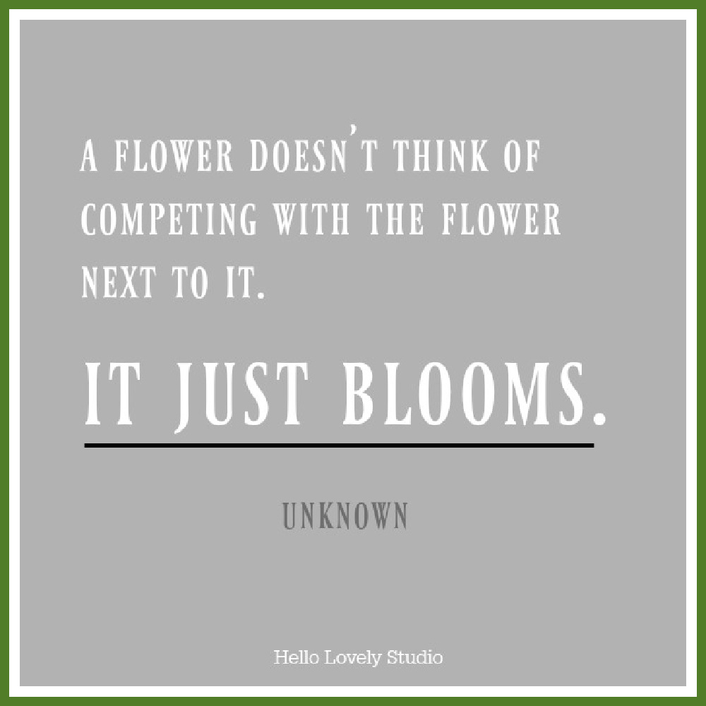 Inspiring quote about competition and comparison. A FLOWER DOESN'T THINK OF COMPETING WITH THE FLOWER NEXT TO IT. IT JUST BLOOMS. #hellolovelystudio #quote #comparison #flowers