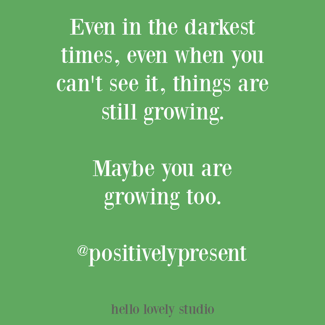 Inspirational quote about growing in the dark on Hello Lovely Studio via positivelypresent. #growingquotes #strugglequotes #encouragementquotes