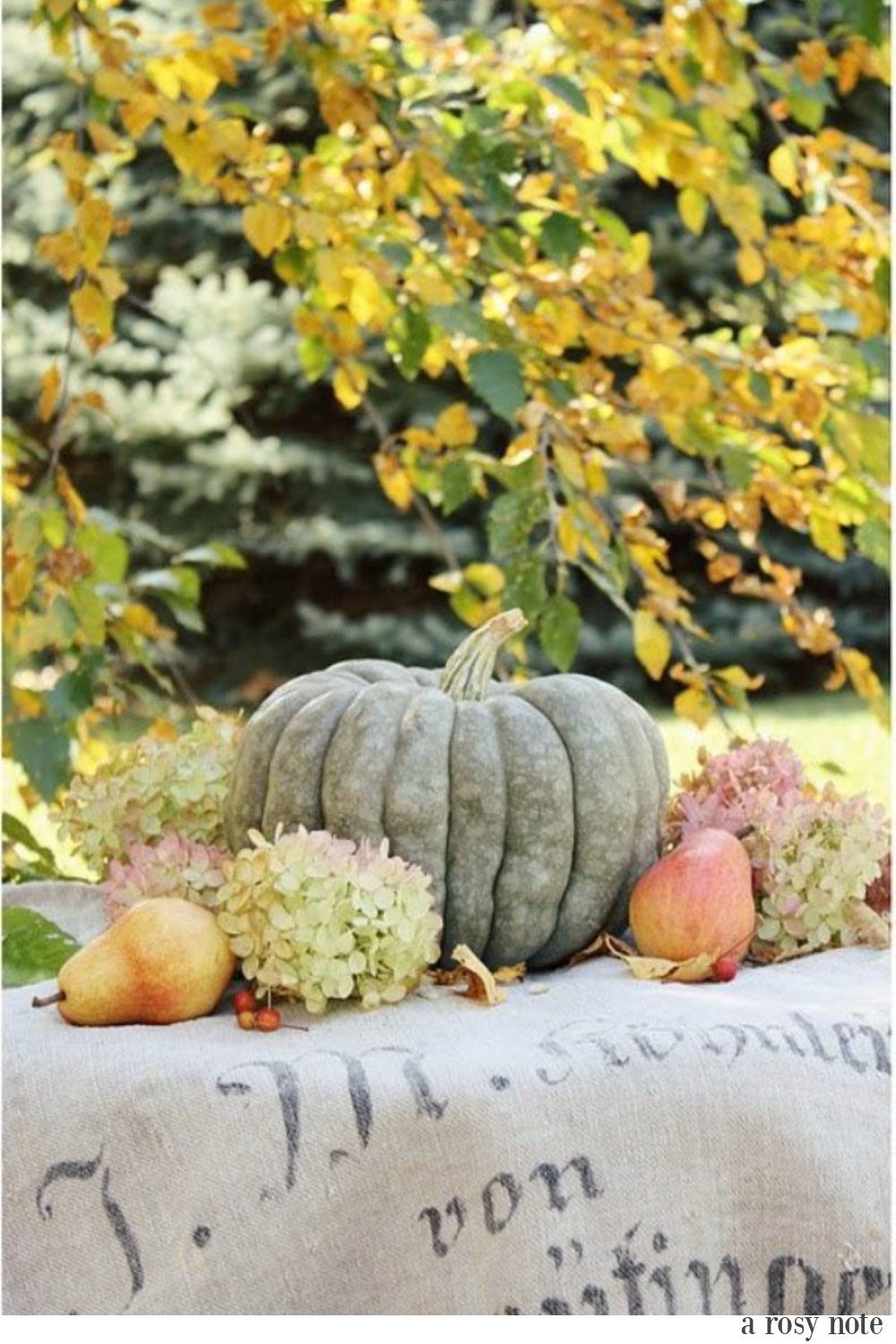 Blue green fall pumpkin with hydrangea and pears on a grainsack amid golden turning leaves - A Rosy Note. Serene French Farmhouse Fall Decor Photos ahead!