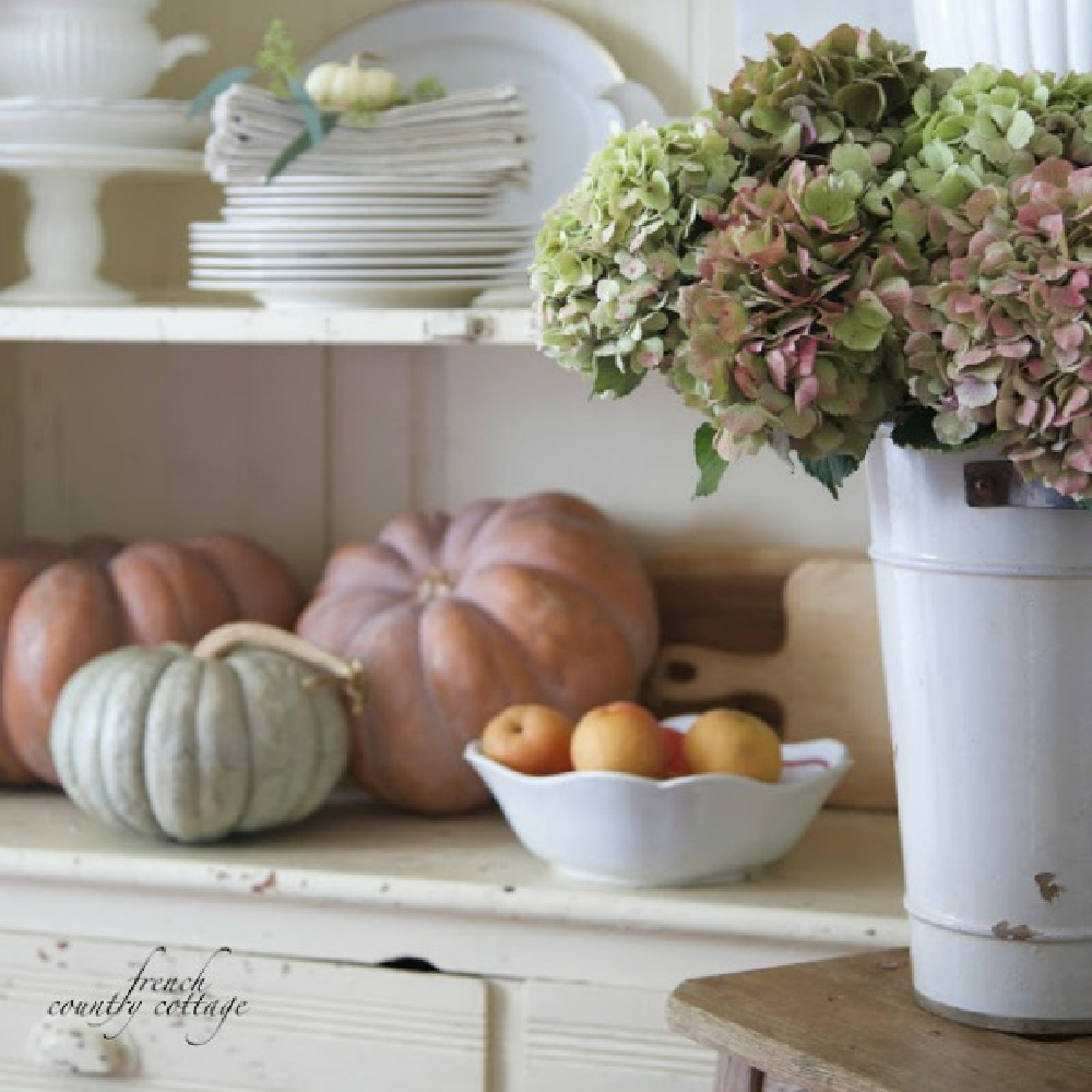 Pastel pumpkins, rosy hydrangea in a tin vase, and French country fall beauty- French Country Cottage. Serene French Farmhouse Fall Decor Photos ahead! #frenchcountry #falldecor #pumpkins #countrykitchen #interiordesign #pumpkins