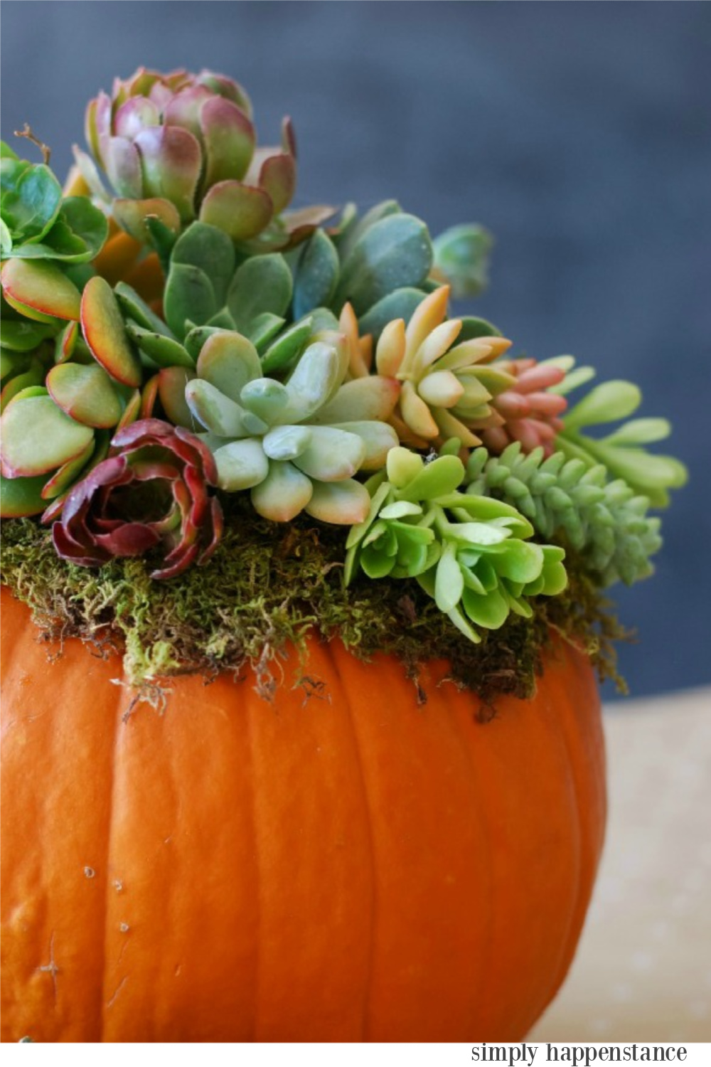 Fall centerpiece with succulents in a pumpkin -Simply Happenstance. Serene French Farmhouse Fall Decor Photos ahead!  #falltable #tablescape #centerpiece #tabletop #florals #autumn #pumpkins