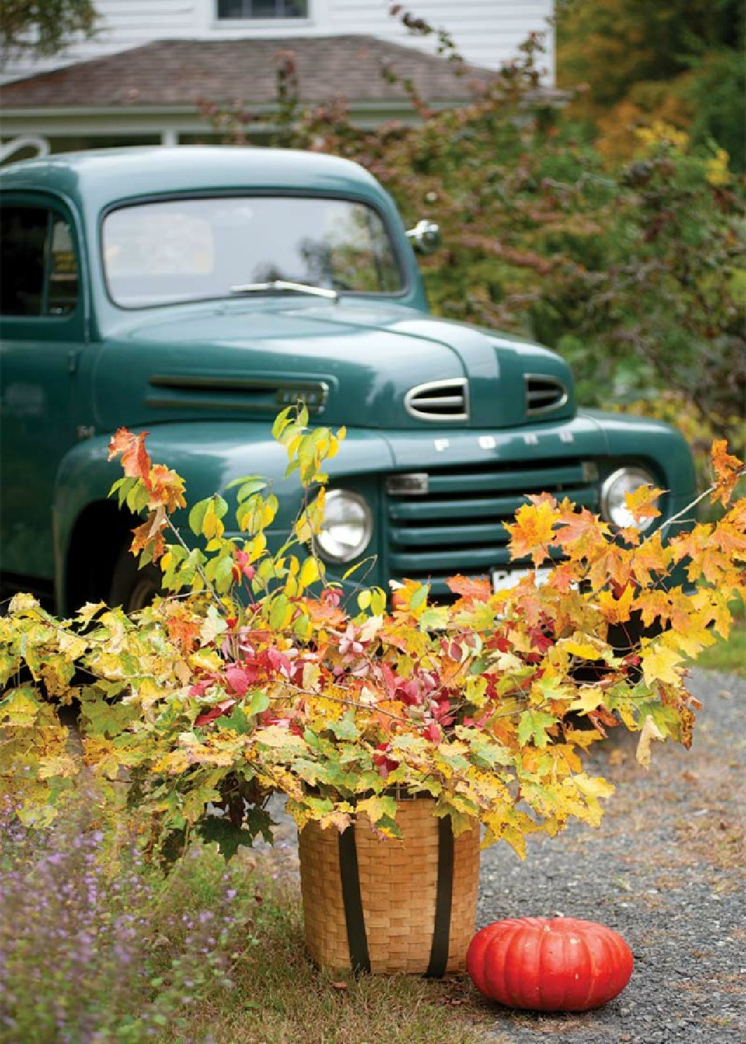 Green vintage green pickup truck and gorgeous golden leafy branches in a basket with pumpkin - fall splendor from The Cottage Journal. #pickup #vintagestyle #fallinspiration #fallcolor